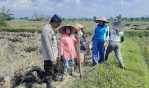 Ketahanan Pangan Dimulai dari Desa: Langkah Humanis Bhabinkamtibmas Montong Are