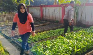 Sinergi Polri dan Masyarakat Kuripan Utara: Dari Pekarangan Menuju Ketahanan Pangan Keluarga