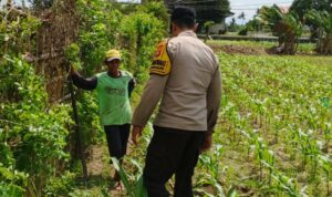 Bhabinkamtibmas di Labuapi dan Warga Bersinergi Jaga Ketahanan Pangan Nasional