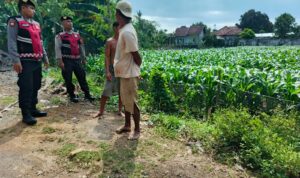 Polres Lobar Kawal Petani Wujudkan Ketahanan Pangan Nasional