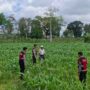 Polres Lombok Barat Dampingi Petani Gerung Utara, Dukung Swasembada Pangan