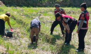 Polres Lombok Barat Dukung Ketahanan Pangan Lewat Patroli Humanis di Desa Kuripan