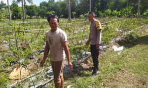 Polsek Sekotong Ajak Petani Berdayakan Lahan Produktif di Dusun Berambang