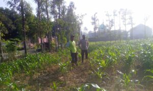 Kolaborasi Polisi dan Petani di Jagaraga untuk Wujudkan Lumbung Pangan Lokal