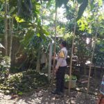 Polsek Kuripan Gandeng Warga Dusun Beremi Tingkatkan Kemandirian Pangan