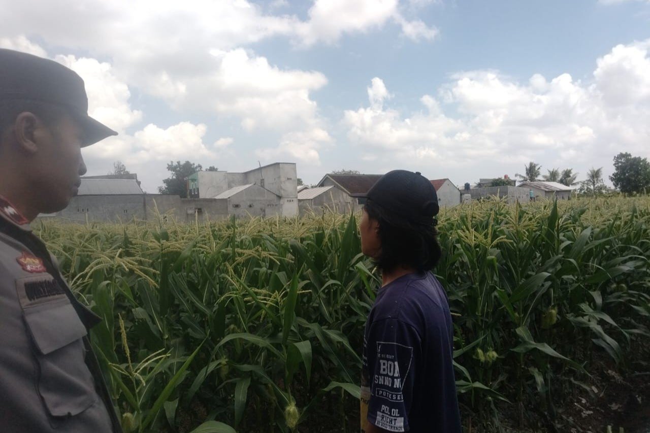 Sinergi Polri dan Petani Labuapi Perkuat Program Swasembada Pangan Desa