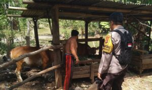 Warga Dusun Melase Antusias Sambut Program Pertanian Pekarangan yang Digagas Polsek Batulayar