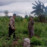 Bhabinkamtibmas Terong Tawah Dorong Pemanfaatan Pekarangan untuk Ketahanan Pangan