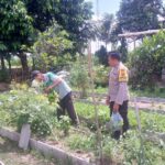 Dukungan Polri Bagi Petani Dusun Tegal: Langkah Nyata Kemandirian Pangan Jagaraga