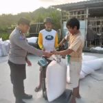 Jagung Petani Gerung Lolos Uji Kualitas, Siap Diserap Bulog NTB