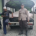 Ketahanan Pangan Lobar Sukses, 24,4 Ton Jagung Masuk Gudang Bulog