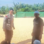 Sinergi Polisi dan Petani Jaga Pasokan Jagung di Lombok Barat