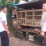 Motivasi Bhabinkamtibmas, Warga Nekat Bangun Kandang Ayam di Pekarangan