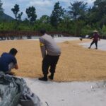 Polri Dampingi Bulog Cek Mutu 3 Ton Jagung Petani di Gerung Lombok Barat