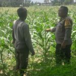 Polisi di Lombok Barat Motivasi Petani Optimalkan Lahan